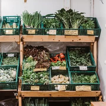 Vandaag (woensdag 10/06) uitzonderlijk toe om 16u30.

Wegens ziekte sluiten we vandaag al om 16u30.

Morgen zijn we weer paraat volgens de normale openingsuren.

Tot gauw!