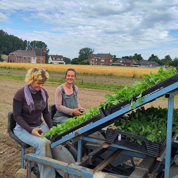 👩‍🌾👨‍🌾 Wat doet een boer.in op dinsdag? Kolen planten! Broccoli, spitskool, boerenkool, koolrabi, ... op onze biodynamische boerderij telen we meer dan 40 soorten groenten. 100% bio, gecertificeerd en al 40 jaar lang.
Voor onze trouwe abonnees van de groentepakketten geven we de groenten en de bodem de best mogelijke zorg. Voor eerlijke producten, geteeld naar smaak en kwaliteit, zonder enige vorm van pesticiden, gentech of kunstmest. Puur natuur, voor mensen en door mensen.
🚜 Wekelijks oogsten wij het beste van ons land en kan je afhalen op één van onze 25 afhaalpunten in zuid Oost-Vlaanderen. Alles is BIO, kraakvers en eerlijk voor de boeren.
🥕🥒🍅🌽 Wij zorgen voor de diversiteit en kwaliteit. Bij elk pakket vind je een nieuwsbrief met recepten en nieuws van De Kollebloem.
👉 Bestel je proefpakket via: https://www.kollebloem.be/bio-groentepakketten