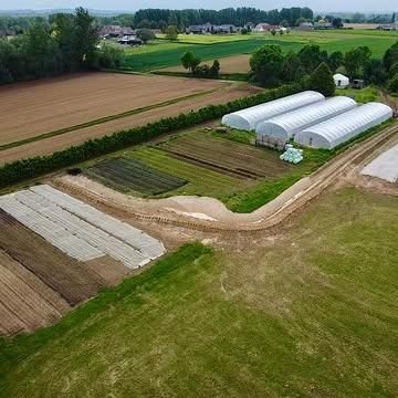 Hier zie je de vorderingen van het groeiproject. Naast de serres werd een lange gracht (swale) gegraven die achter de serres een bocht maakt en daar een poel creëert. Dit werd mogelijk dankzij de financiering van onze aandeelhouders. 

Deze eerste swale heeft al flink wat water opgevangen van de hevige buien. De laatste weken regent het vaak een hele tijd niet en dan plots heel veel. Tussendoor is het heel warm, waarbij de wind vaak extra uitdroogt. Voor dit weertype zijn onze swales ideaal: ze kunnen het water dat veel te snel uit de lucht valt opvangen voor het afspoelt over de velden. Daarna kan het water traag in de bodem dringen en zo diepere lagen voeden. Perfect om water te bufferen voor onze planten. 

De flanken van de berm zijn ondertussen ook helemaal beplant en staan al mooi groen. Naast kruiden zoals munt, staat er ook kardoen, rabarber en frambozen. Zo creëert de swale ook extra mogelijkheden: de water minnende kruiden op de halfnatte flanken, droogteminnen planten op de droge buitenflank.

Dit kunnen we doen dankzij onze aandeelhouders die het project steunen. In totaal gaan we 4 swales graven en 2 poelen. Dit zal onze boerderij beter inbedden in het landschap, biodiversiteit vergroten en het water de ruimte geven die het verdient. Hiervoor willen we graag nog een keer oproepen om het groeiproject te steunen met aandelen.
 
Doe je ook mee?

1 aandeel kost 350 euro. Als we er nog 38 kunnen verkopen is het hele groeiproject gefinancierd. We groeien samen.
 
Het Waterplan
 
Met de hulp van dronebeelden werd een gedetailleerde hoogtekaart gemaakt van onze boerderij. Belangrijke punten werden aangeduid en met de ervaring en kennis van Toon Roosen van Roosen Landscape kwamen we tot een evenwichtig plan.
 
Je vindt alle info op onze website: www.kollebloem.be/groeiproject
@roosenlandscape