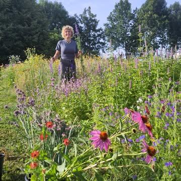 👩‍🌾 Boeketten maken, kerstomaten plukken, sla oogsten, ... het is weer een drukke ochtend op De Kollebloem. Onze boerderij ontploft zo'n beetje na het weer van de voorbije weken.
Heel veel groenten, grote diversiteit, ruim aanbod, ... een rijkgevulde oogstkar voor al onze abonnees, winkelklanten en horeca-chefs.
💐 Wil je ook een boeket? Je kan ze bestellen via onze website.
🚜 Wekelijks oogsten wij het beste van ons land en kan je afhalen op één van onze 25 afhaalpunten in zuid Oost-Vlaanderen. Alles is BIO, kraakvers en eerlijk voor de boeren.
🥕🥒🍅🌽 Wij zorgen voor de diversiteit en kwaliteit. Bij elk pakket vind je een nieuwsbrief met recepten en nieuws van De Kollebloem.
👉 Bestel je proefpakket via: https://www.kollebloem.be/bio-groentepakketten