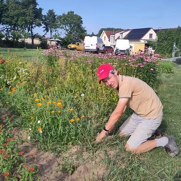 "Het bloemenmeisje" zei Wouter toen ik deze foto nam. Maar het is gewoon Wouter, onze tophelper in bloemenland. Hij wiedt onkruid tussen de bloemen, struint over onze velden, doet vriendelijke babbeltjes met iedereen die hij hier ontmoet. Ik vermoed dat er ondertussen heel wat maalt in zijn hoofd. Af en toe krijg ik namelijk een tekst toegestuurd over ajuinen, onweer, wind of onkruid wieden. Zijn wandelingen uiten zich dus niet alleen in hoopjes onkruid of een vergeten schoffel, maar ook in boeiende Akkerweetjes. Een veelzijdige helper, ik zei het al.
💐 Wil je graag een boeket bestellen van onze biodynamische bloementuin? Dat kan sinds kort via onze website.
Je krijgt niet alleen een professioneel gemaakt boeket biodynamische bloemen. Je steunt er ook onze zorgboerderij mee.
👉 Bestel nu via: https://www.kollebloem.be/bio-boeketten
