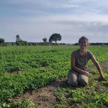 Wieden, wieden, wieden, als de wiedeweerga. De zon schijnt hard, het warme weer doet onze groenten stevig groeien. Maar het onkruid groeit mee. Blijven krabben, trekken, schoffelen, wiedeggen, ... Zo krijgen we al die mooie groenten geoogst voor jullie in onze groentepakketten en hoevewinkel.
Moedige boer.inn.en!