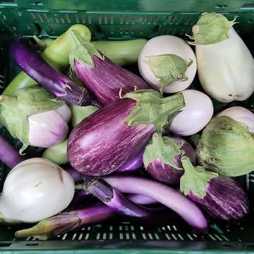 ZOMERGROENTEN ACTIE -20%

De overvloed van de zomer delen we graag met iedereen. Daarom staan onze biodynamische aubergines in korting per 3 kg.

Hou onze socials en website in de gaten voor alle zomer acties.

Afhalen kan tijdens de openingsuren van de hoevewinkel.
Zolang de voorraad strekt!

Openingsuren:
+ Dinsdag - vrijdag: 14u-19u
+ Zaterdag: 9u-16u
+ Doornstraat 30 9550 Sint-Lievens-Esse
BESTELhttps://www.kollebloem.be/webshop-afhaal-groenten