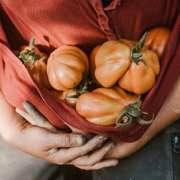😍 ZOMERGROENTEN ACTIE -20%

De overvloed van de zomer delen we graag met iedereen.
Daarom staan onze biodynamische vruchtgewassen in korting per 3 kg.

👉 Bestel online en haal af tijdens de openingsuren van de hoevewinkel.
🍅 Zolang de voorraad strekt!

BESTEL NU VIA: https://www.kollebloem.be/webshop-afhaal-groenten