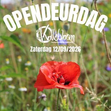 🥳 Op zaterdag 12 september organiseren we onze jaarlijkse opendeurdag.
De ideale gelegenheid om onze boerderij beter te leren kennen.

👩‍🌾👨‍🌾 We maken er weer een hele mooie dag van met BBQ, rondleidingen, een workshop over preparaten, een lezing over bijen en muziek.

🍽 Reserveer alvast je maaltijd via www.kollebloem.be/opendeurdag-2026
 
💪 Mee helpen?
We zoeken nog vrijwilligers voor de opendeurdag.
Laat het weten via pakketten@kollebloem.be