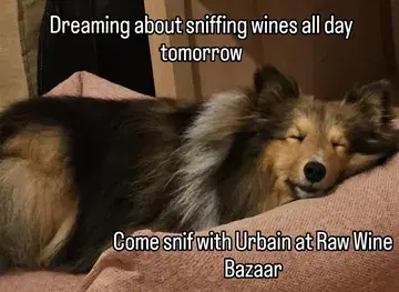 #wijngaardlijsternest #vinsvivants