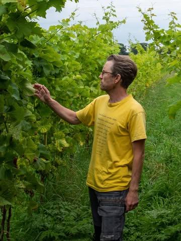 TOURNÉE VIGNERON 🍷
Servaas Blockeel - @wijngaard_lijsternest 
📅 Jeudi 22 janvier à Liège 

Nous aurons le plaisir d’accueillir Servaas Blockeel en tournée en Wallonie avec Vins Vivants. ✨

Pionnier du vin naturel en Belgique, il travaille des cépages hybrides et vinifie sans aucun intrant, pour des vins uniques, précis et profondément vivants, dont la cuvée emblématique MagDa 😍

Envie d’une dégustation ? 
📩 Contactez Justine ! 

justine@vinsvivants.be

#wijngaardlijsternest #vinsvivants