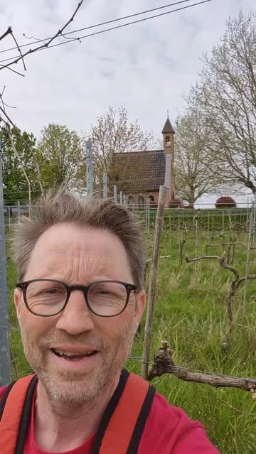 Come and taste our juicy field blends from disease resistent grape varieties. No fungicides, no tillage, no sulfites,only grapes and lots of nature @confettiwinefest