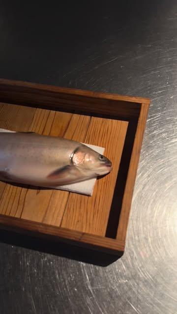 Beekridder from @streekvis for next week’s sashimi serving