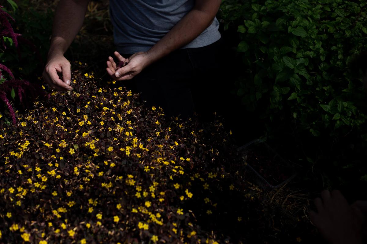 business profile image