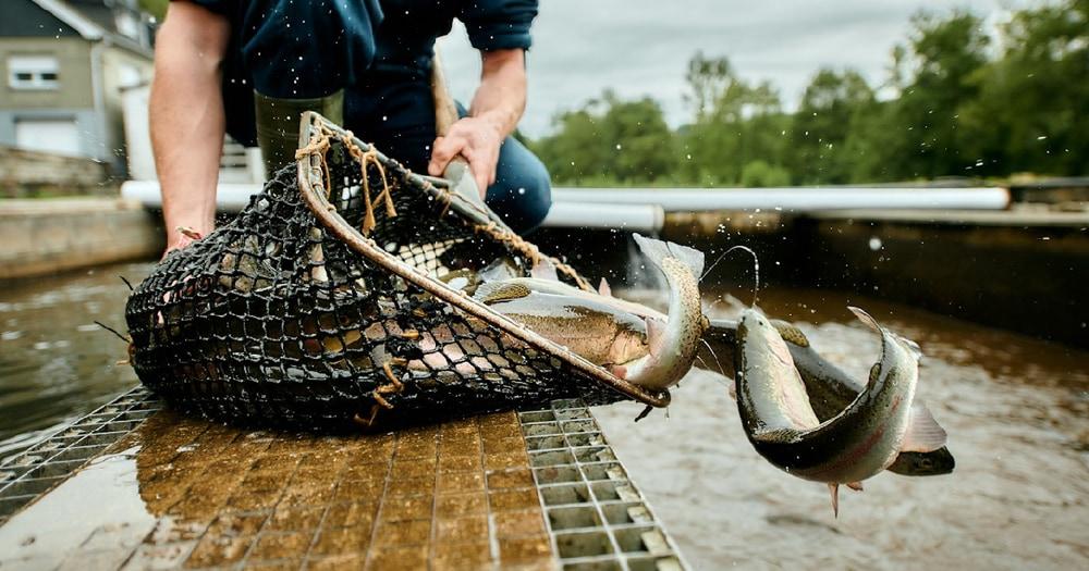 business profile image