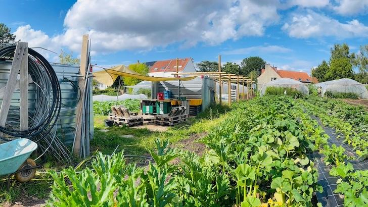 business profile image