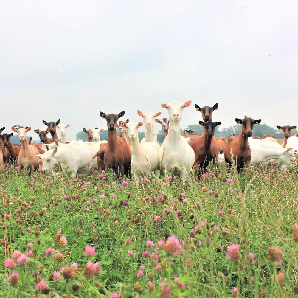 business profile image