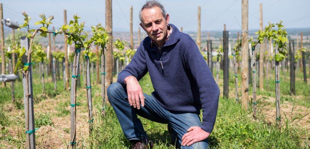 Evening featuring wines from Domaine Pierre Frick (Alsace)