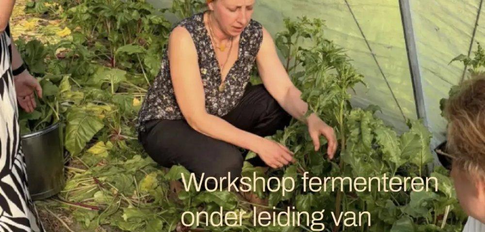 Workshops Fermentatie - Moeskop Moestuin