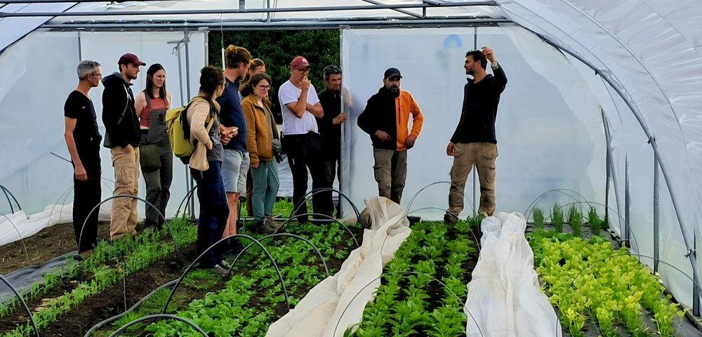 Try our entrepreneurship training in bio-intensive market gardening