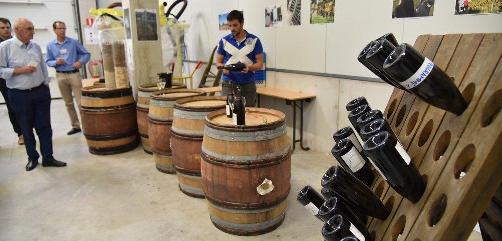 Visiteurs dégustant du vin dans le chai, avec des fûts en chêne et un pupitre de bouteilles en bois au premier plan