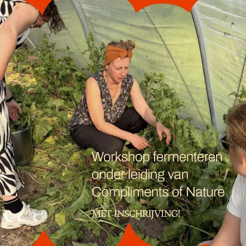 Workshops Fermentatie - Moeskop Moestuin